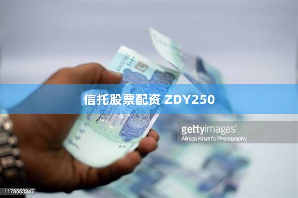 信托股票配资 ZDY250