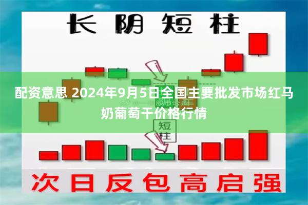 配资意思 2024年9月5日全国主要批发市场红马奶葡萄干价格行情