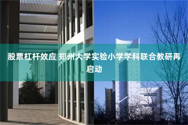 股票杠杆效应 郑州大学实验小学学科联合教研再启动