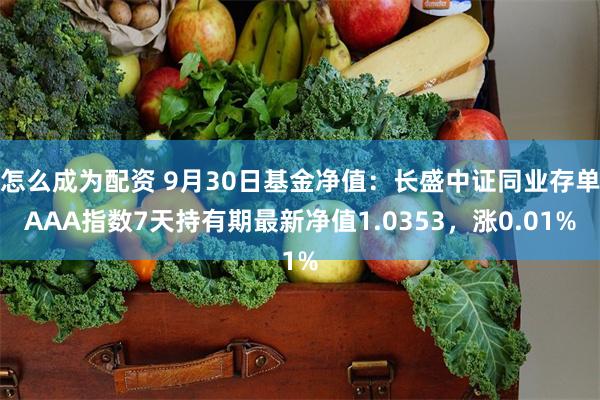 怎么成为配资 9月30日基金净值：长盛中证同业存单AAA指数7天持有期最新净值1.0353，涨0.01%