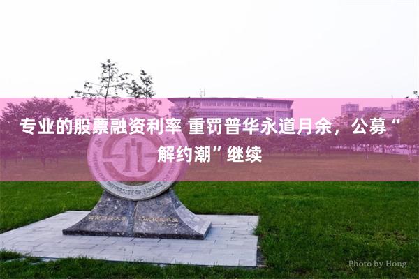 专业的股票融资利率 重罚普华永道月余，公募“解约潮”继续