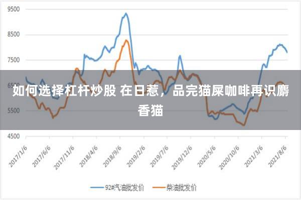 如何选择杠杆炒股 在日惹，品完猫屎咖啡再识麝香猫