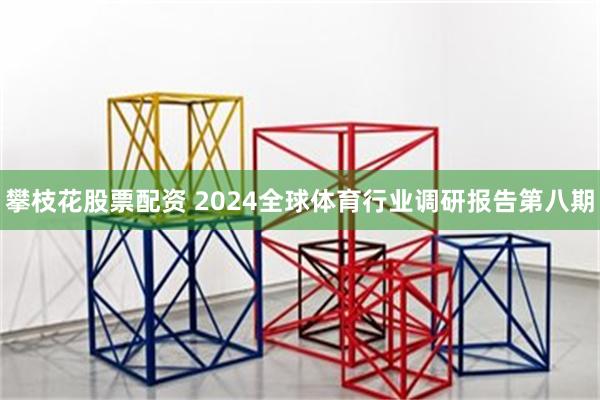 攀枝花股票配资 2024全球体育行业调研报告第八期