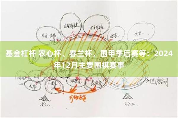 基金杠杆 农心杯、春兰杯，围甲季后赛等：2024年12月主要围棋赛事