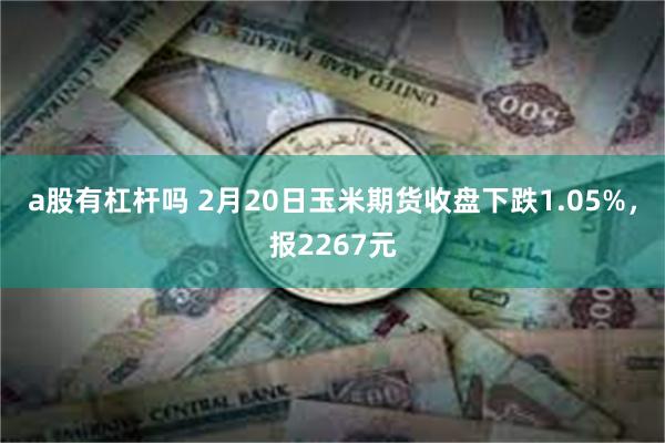 a股有杠杆吗 2月20日玉米期货收盘下跌1.05%，报2267元