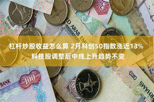 杠杆炒股收益怎么算 2月科创50指数涨近13%  科技股调整后中线上升趋势不变