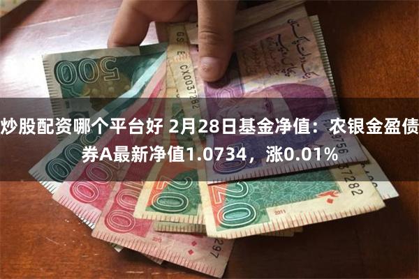 炒股配资哪个平台好 2月28日基金净值：农银金盈债券A最新净值1.0734，涨0.01%